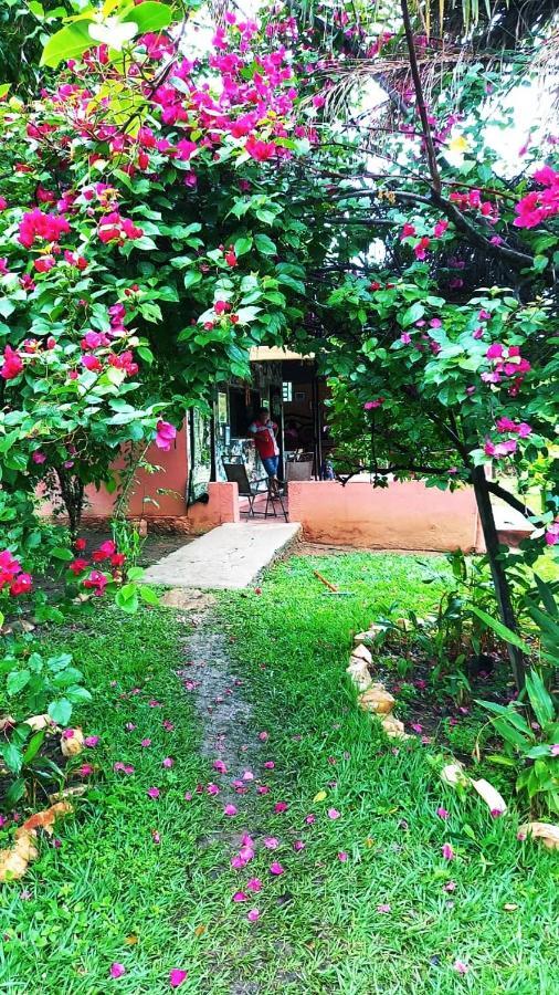 Pousada Estação Lunar Sao Domingos de Goias Extérieur photo